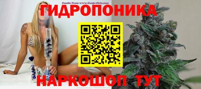 spice Заволжье