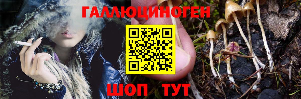 Кызыл  Галлюциногенные грибы мухоморы  Вход с VPN 